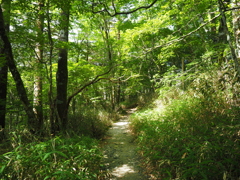 P7080236