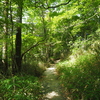 P7080236