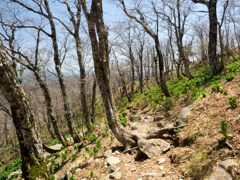 P4290271