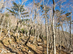 P4290070