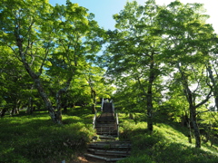 P7080122