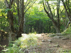 P6170013