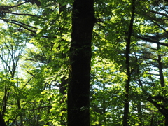P7220233