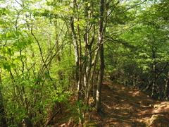 P4270266