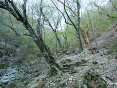 P4290029