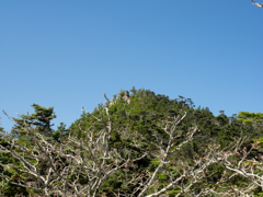 P4290215