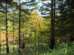 PA160027