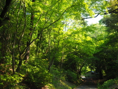 P5030026