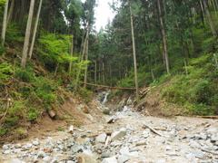 P4300008