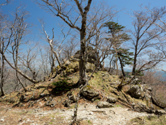 P4290273