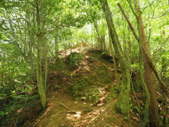 P4270049
