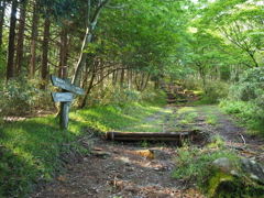 P6170045