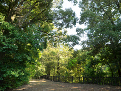 P5030057