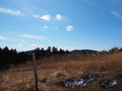 P2193786