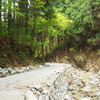 P4300154