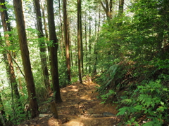 P4270025