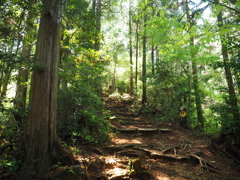 P4270030