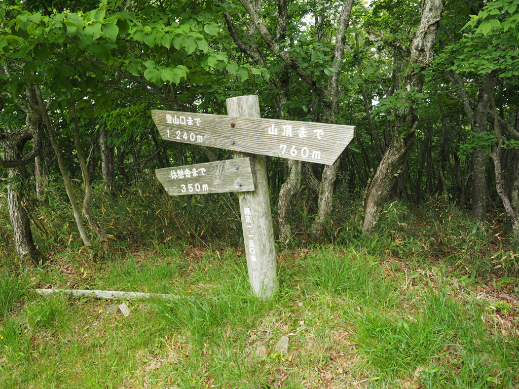 P6170092
