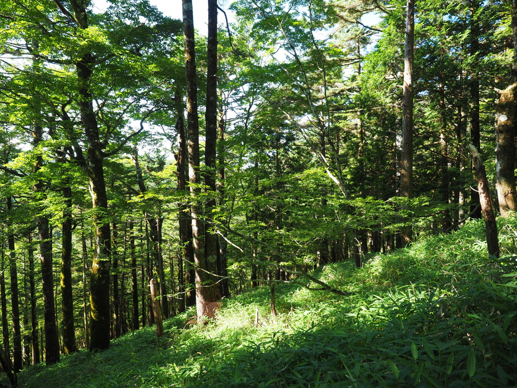 P7220227