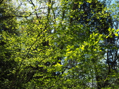 P4270123