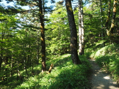 P7220230