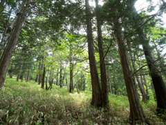 P7080211
