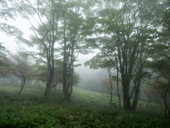 P9250078