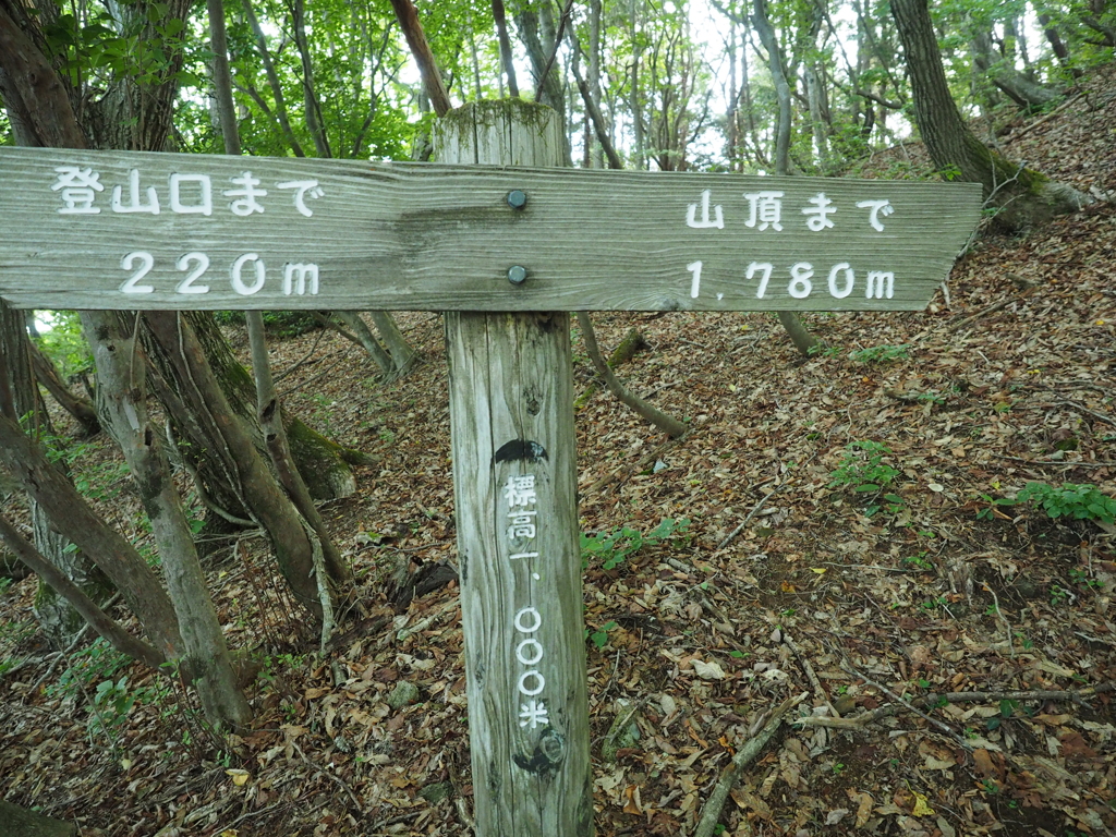 P6170005