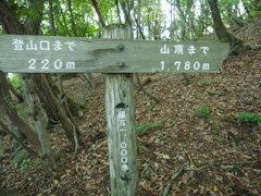 P6170005