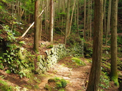 P5270047