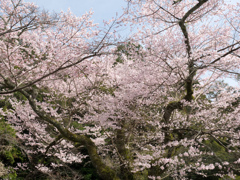 P3300023