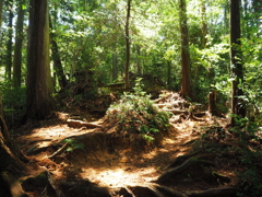 P4270031