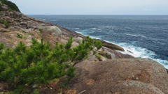 P5270232