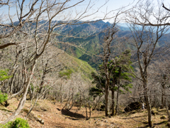 P4290148