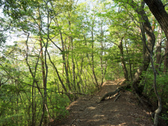 P4270262