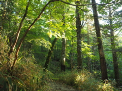 P7080016