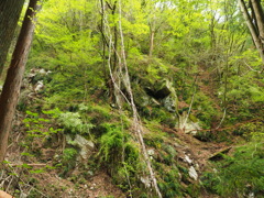 P4300017