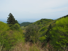 P4300081
