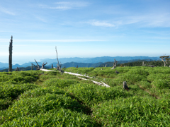 P7080097