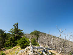 P4290201