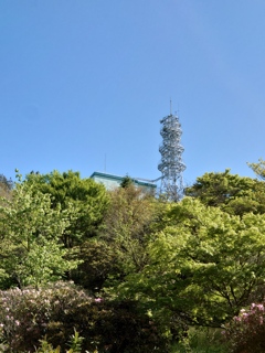 DSC_7027