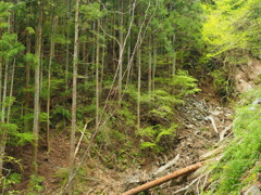 P4300142