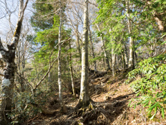 P4290039