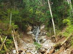 P4300151