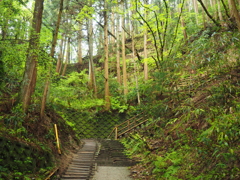 P4250012