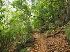 P5270262