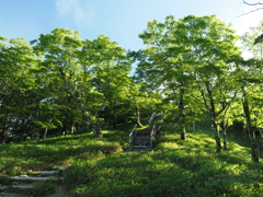 P7080059