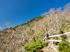 P4290135