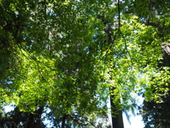 P4270016