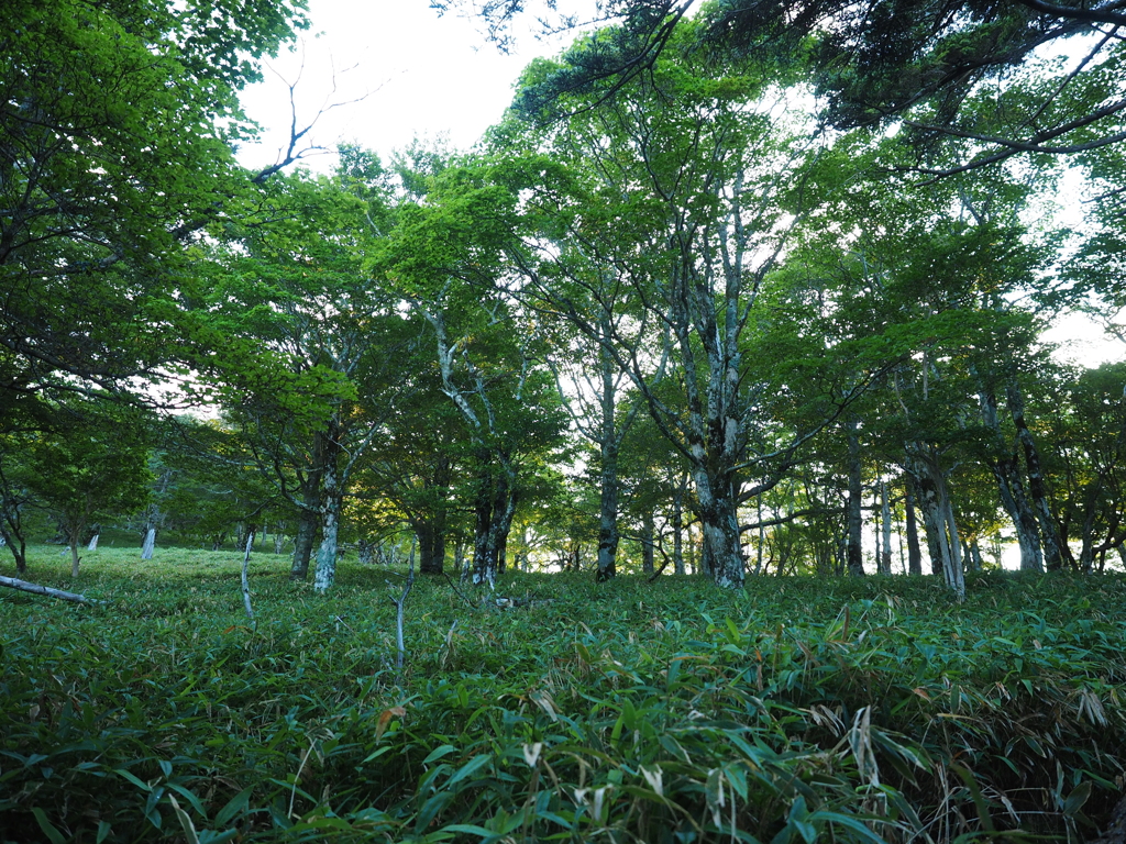 P7220025